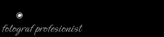 Adrian Nica Logo